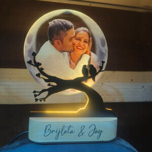 Customized Color Moon Tree Photo Lamp